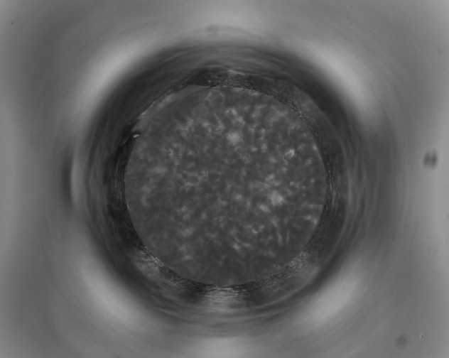 X0000097590189200803141903