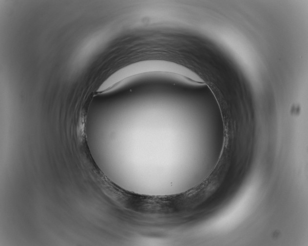 X0000097590190200803141903