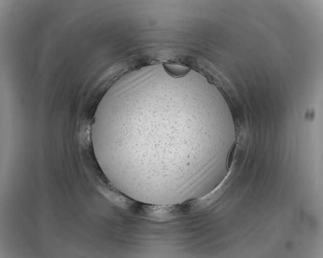 X0000097590191200803141903