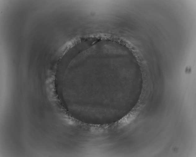 X0000097590192200803141903