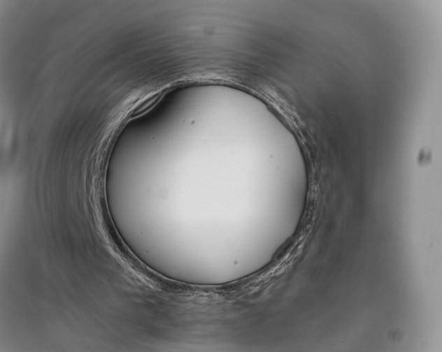 X0000097590193200803141902