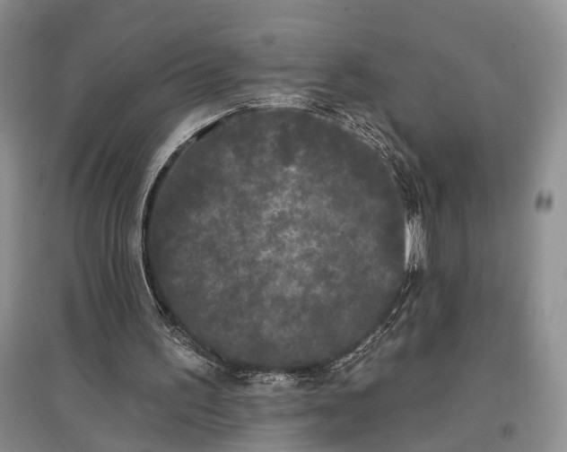 X0000097590195200803141902