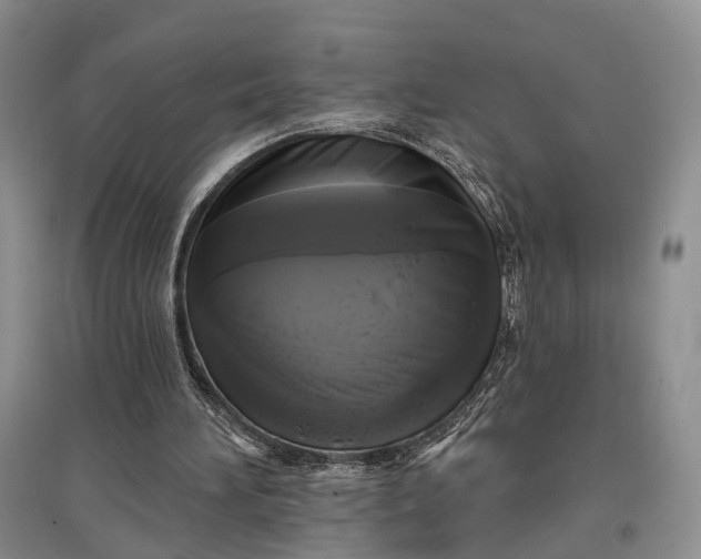 X0000097590196200803141902