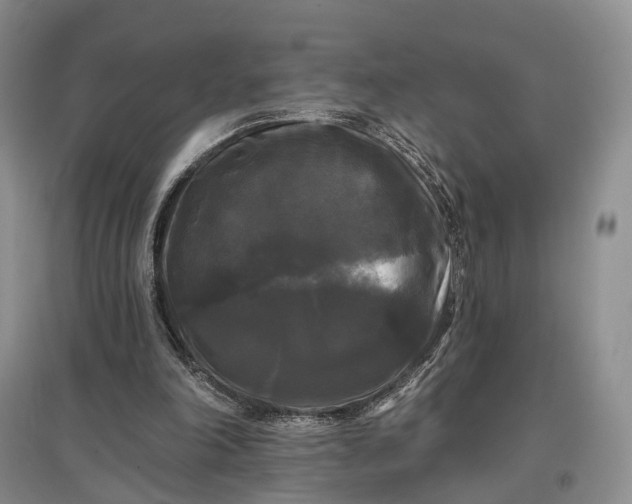 X0000097590198200803141902