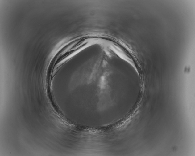 X0000097590199200803141902