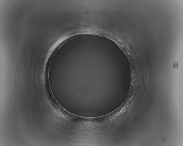 X0000097590200200803141902