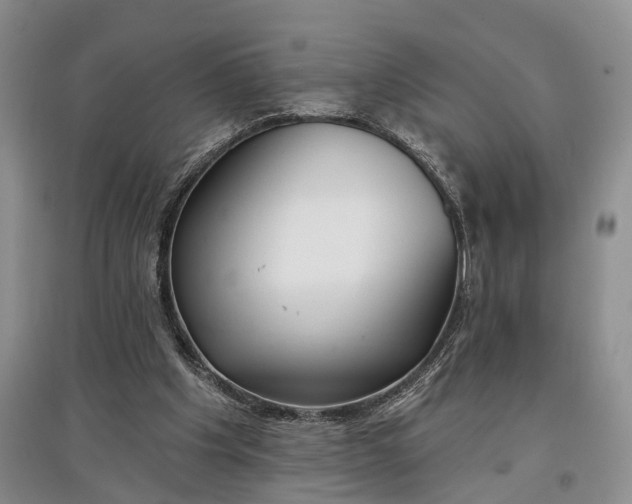 X0000097590201200803141902