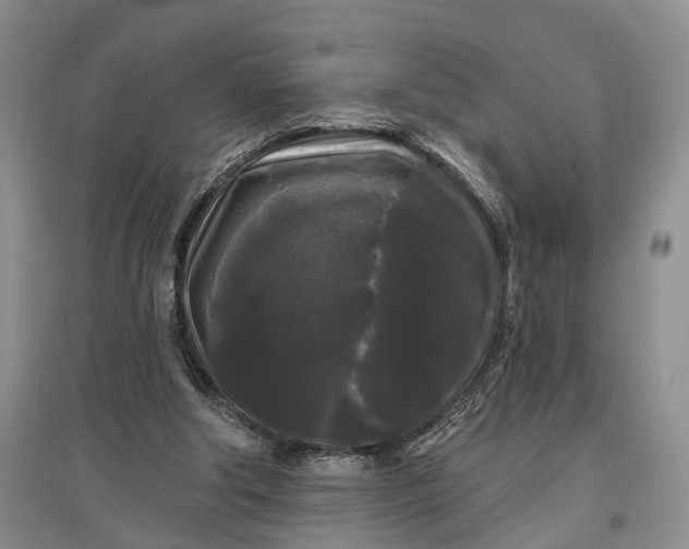 X0000097590202200803141902