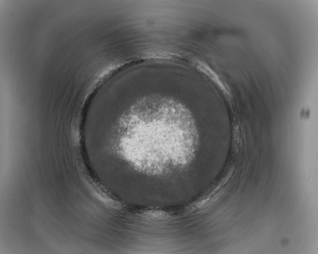 X0000097590203200803141902