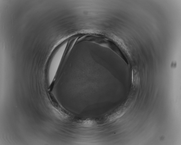 X0000097590204200803141902