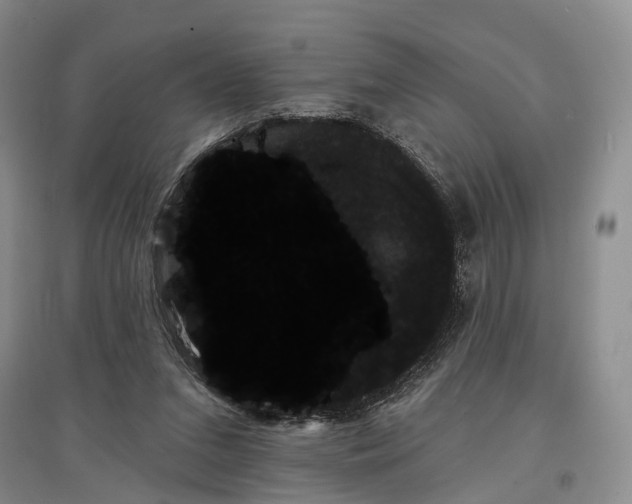 X0000097590207200803141902