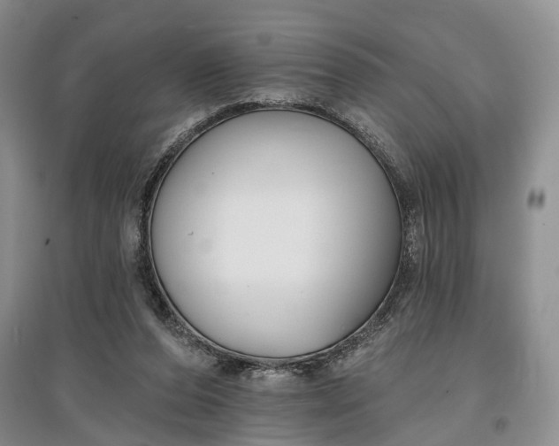 X0000097590208200803141902