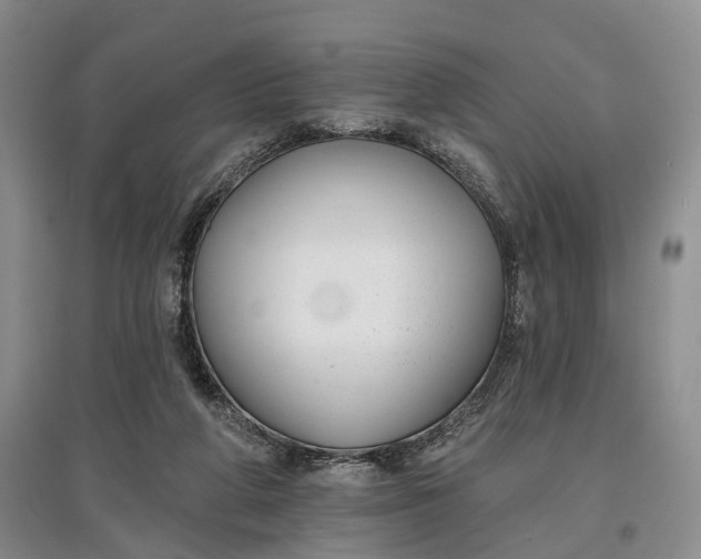 X0000097590210200803141902