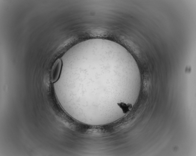 X0000097590211200803141902