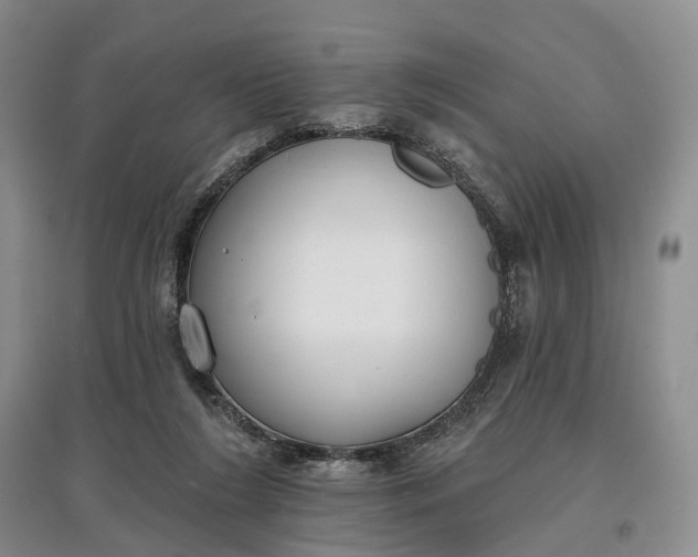 X0000097590212200803141902