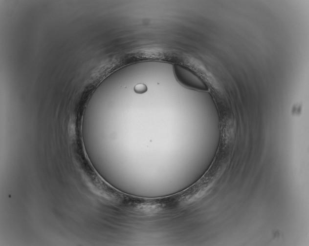 X0000097590213200803141902