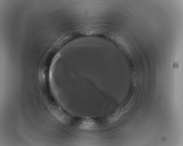 X0000097590214200803141902