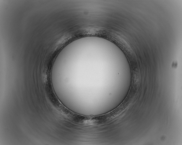 X0000097590216200803141902