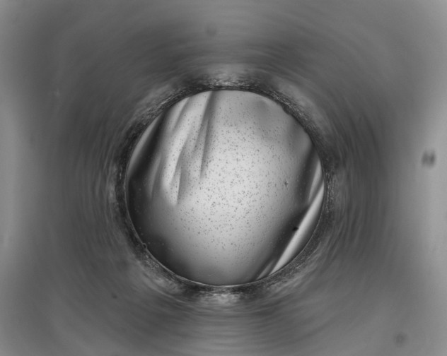 X0000097590217200803141902