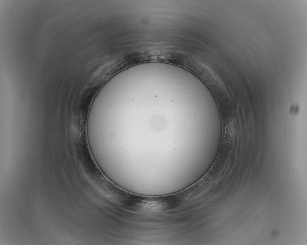 X0000097590218200803141902