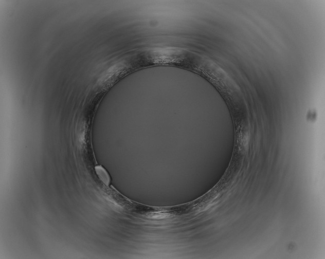 X0000097590219200803141902