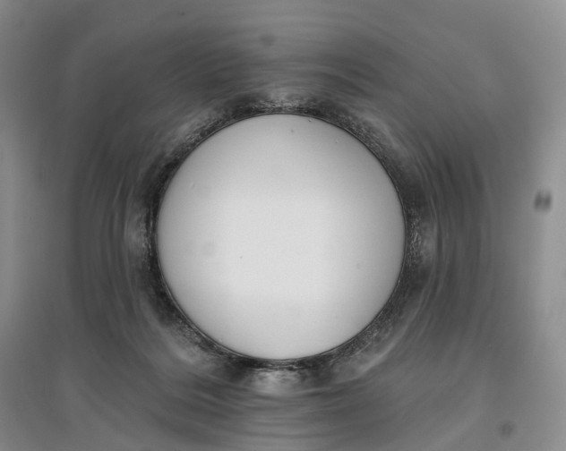 X0000097590220200803141902