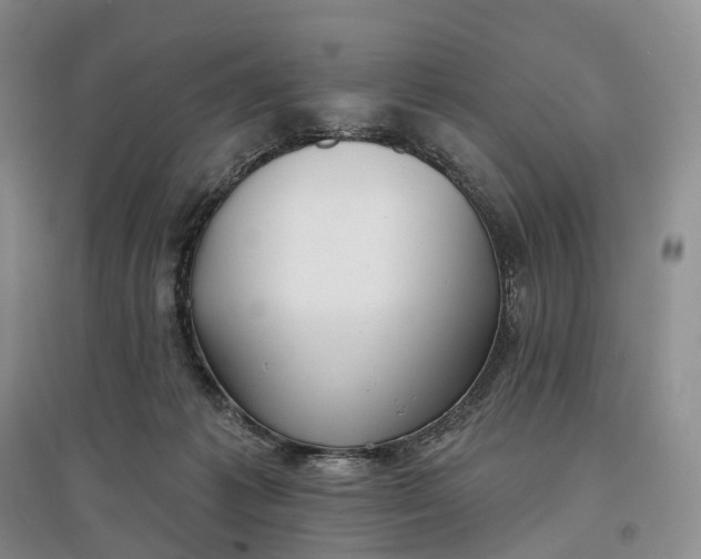 X0000097590221200803141902