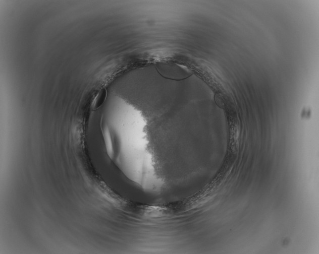 X0000097590222200803141902