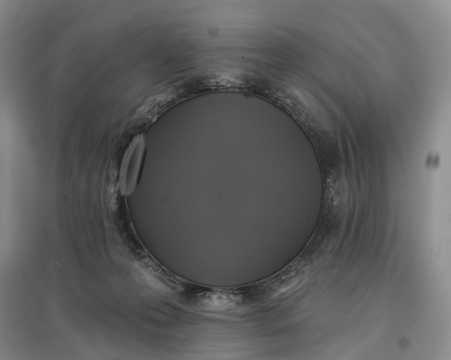 X0000097590223200803141902