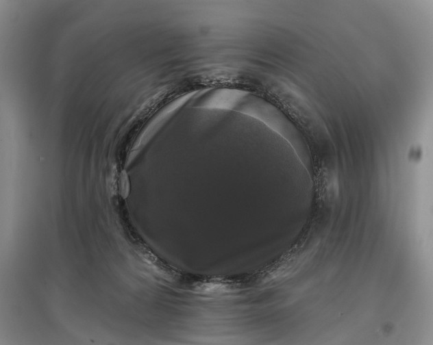 X0000097590224200803141902