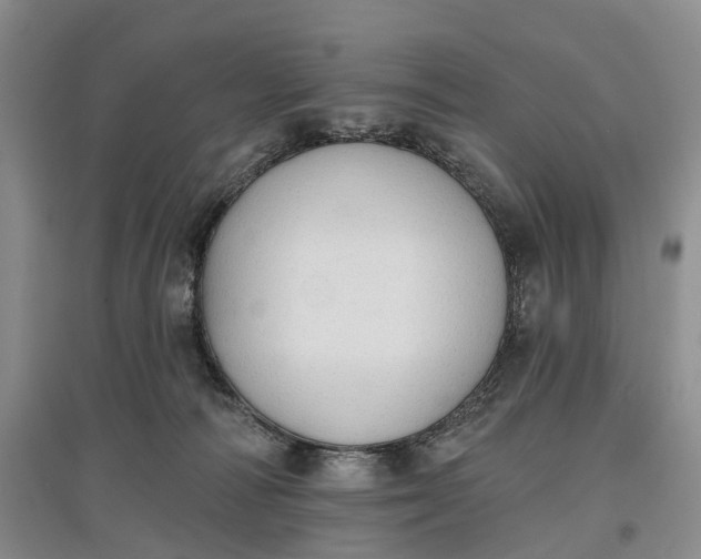 X0000097590226200803141902