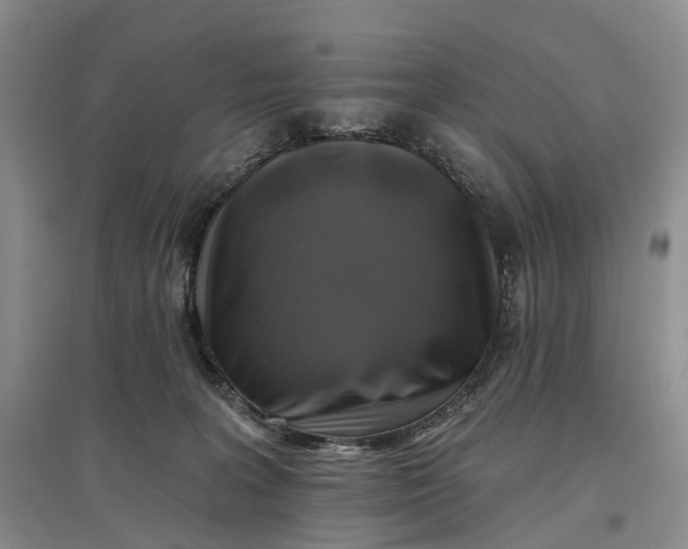 X0000097590227200803141902