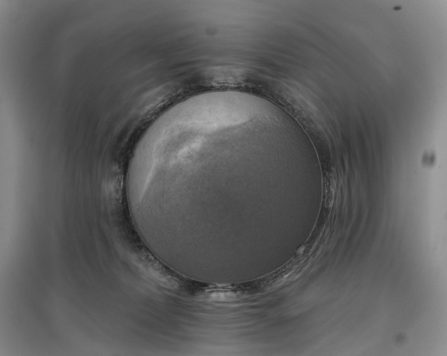 X0000097590228200803141902