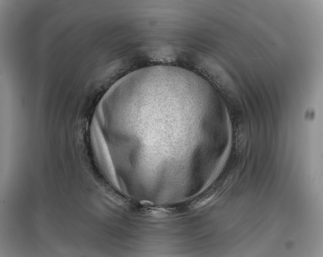 X0000097590229200803141902