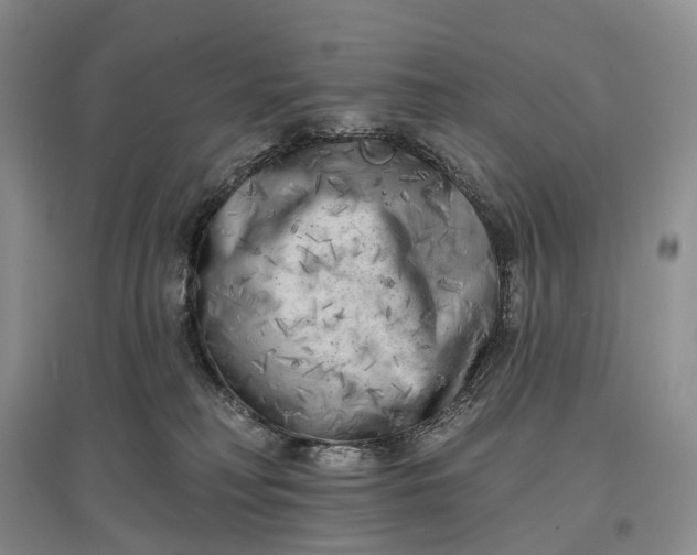 X0000097590230200803141902