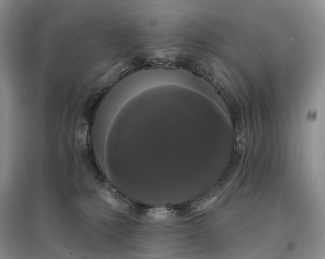 X0000097590231200803141901