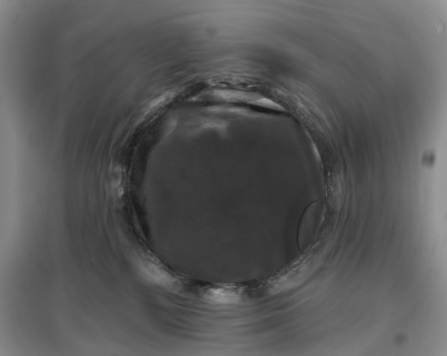 X0000097590232200803141901