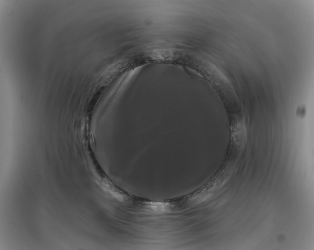 X0000097590233200803141901