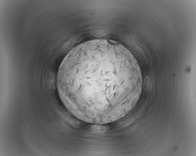 X0000097590234200803141901