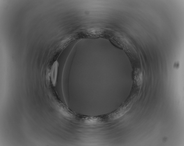 X0000097590235200803141901