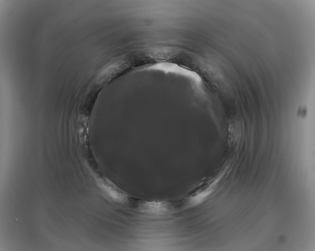 X0000097590237200803141901