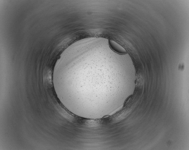 X0000097590238200803141901