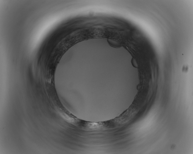 X0000097590239200803141901