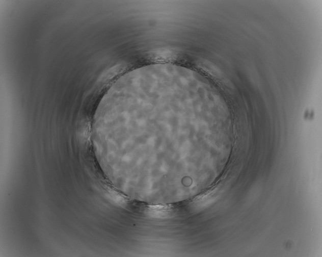 X0000097590240200803141901