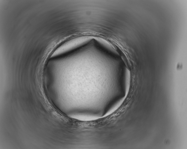 X0000097590241200803141900