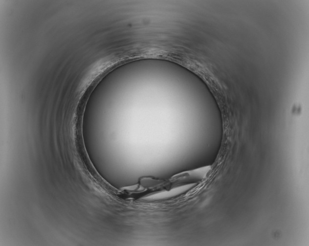 X0000097590242200803141900