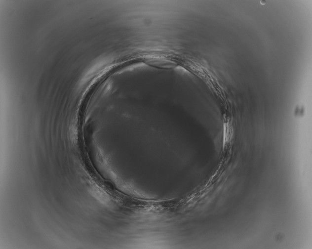 X0000097590243200803141900