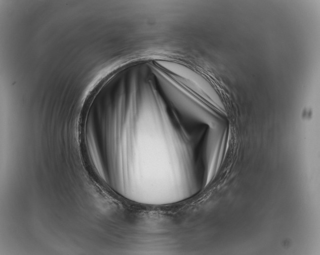 X0000097590244200803141900