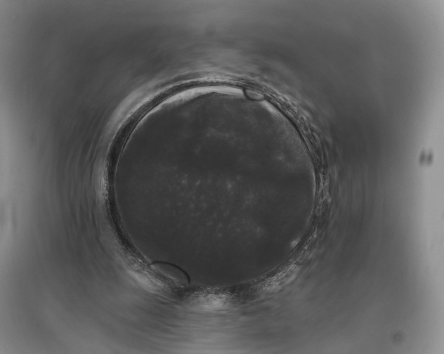 X0000097590247200803141900