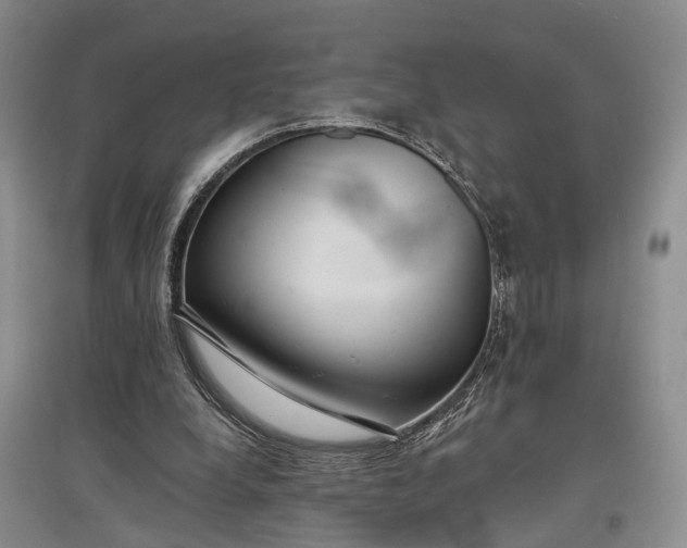 X0000097590248200803141900